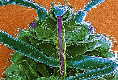 《三角洲行动》聚变赛季故事短片 新版本今日正式开启！